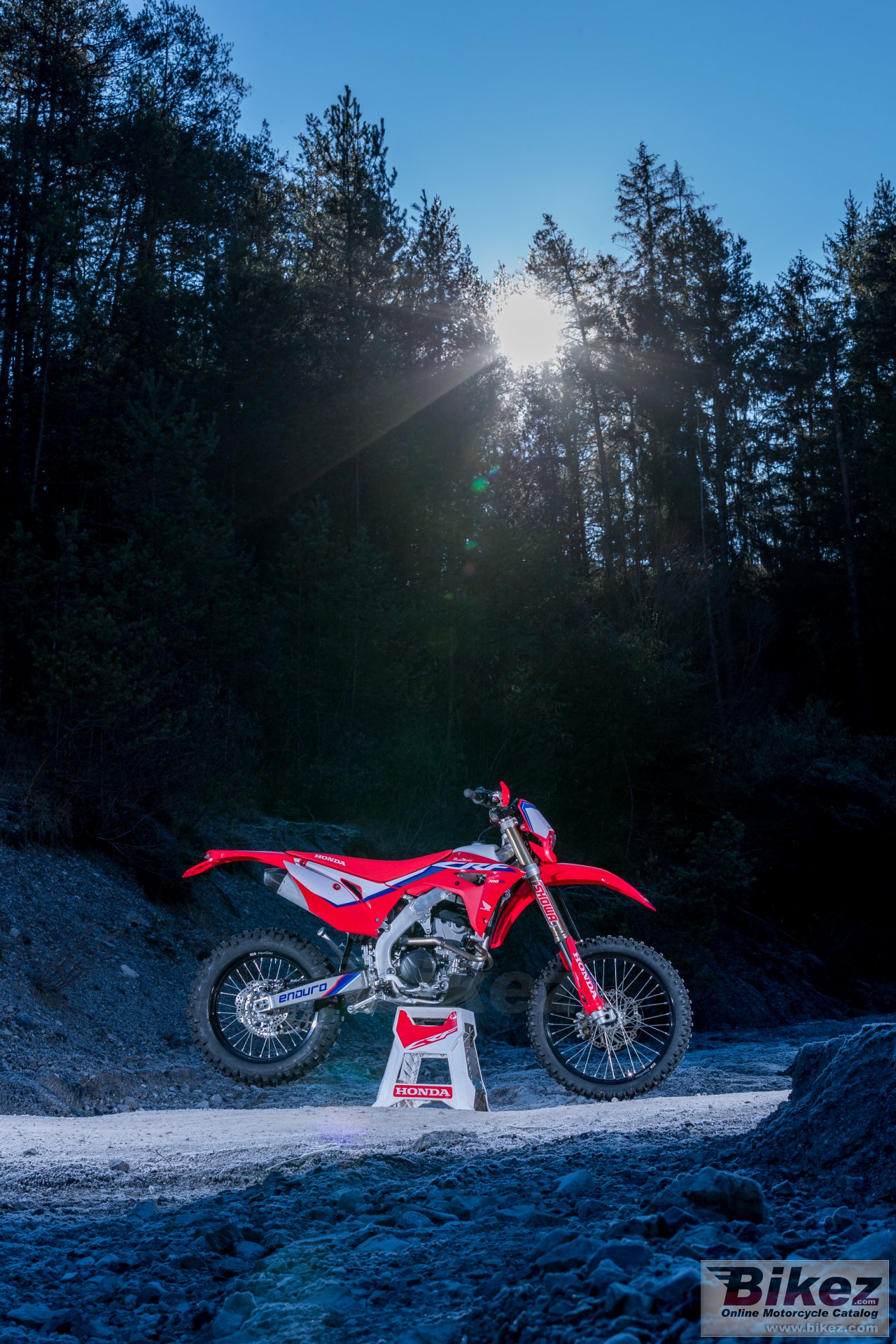 Honda CRF300RX picture